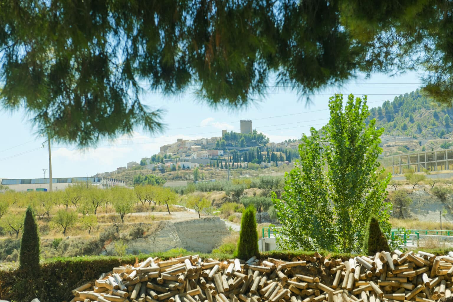 LA CARABA-207