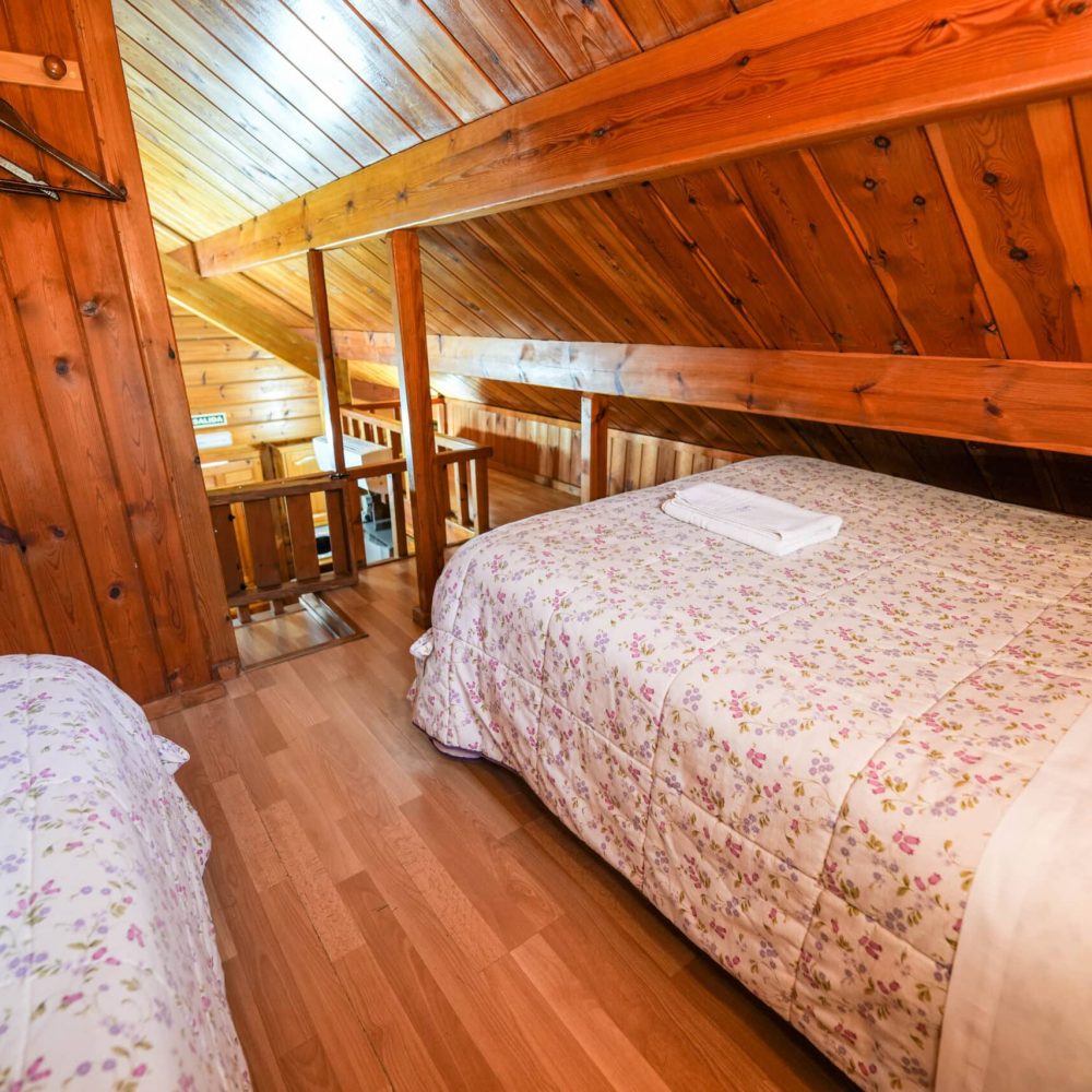 CABAÑA (20)