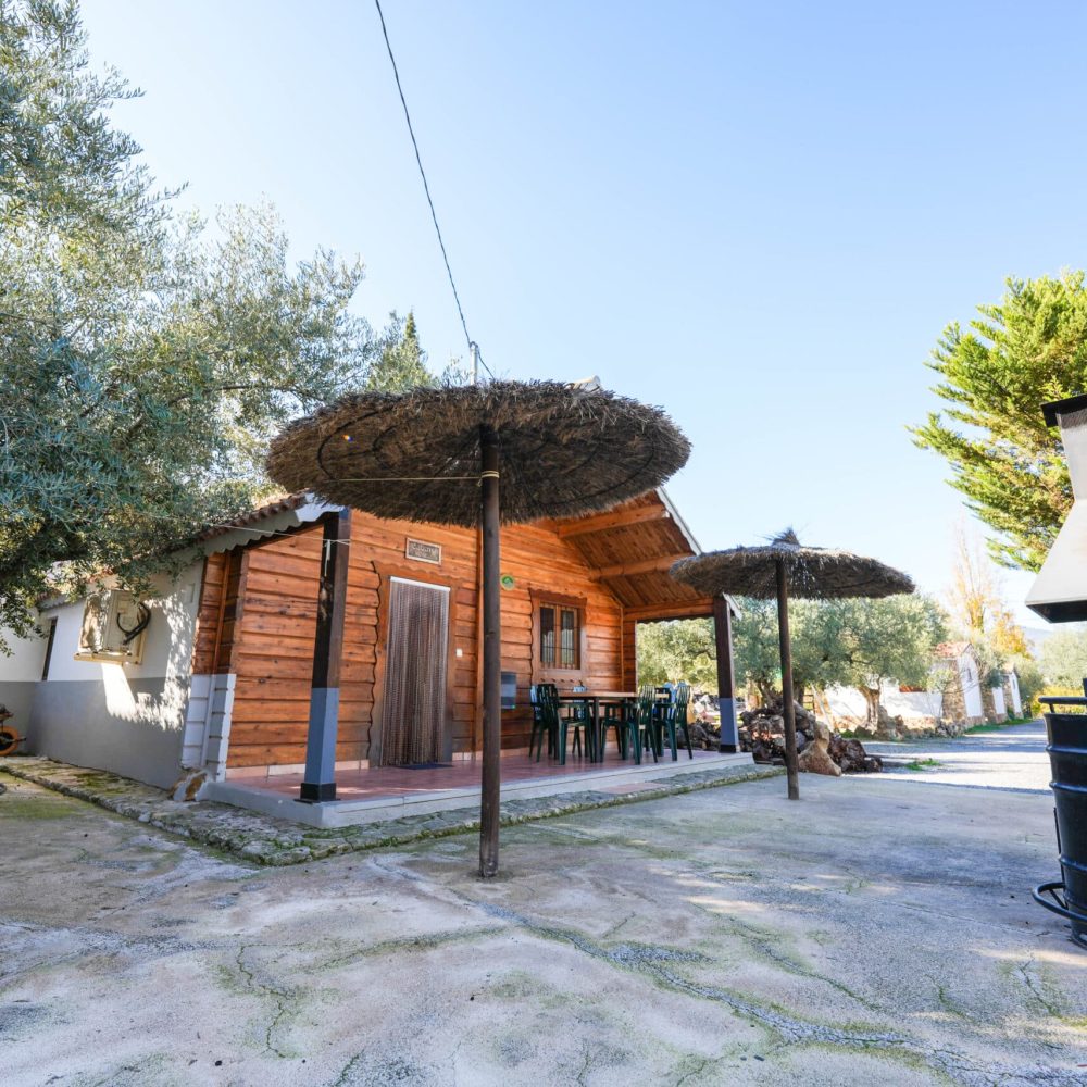 CABAÑA (6)