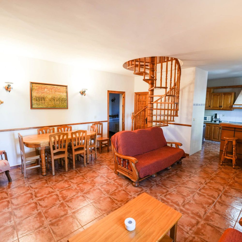 CORTIJO (28)