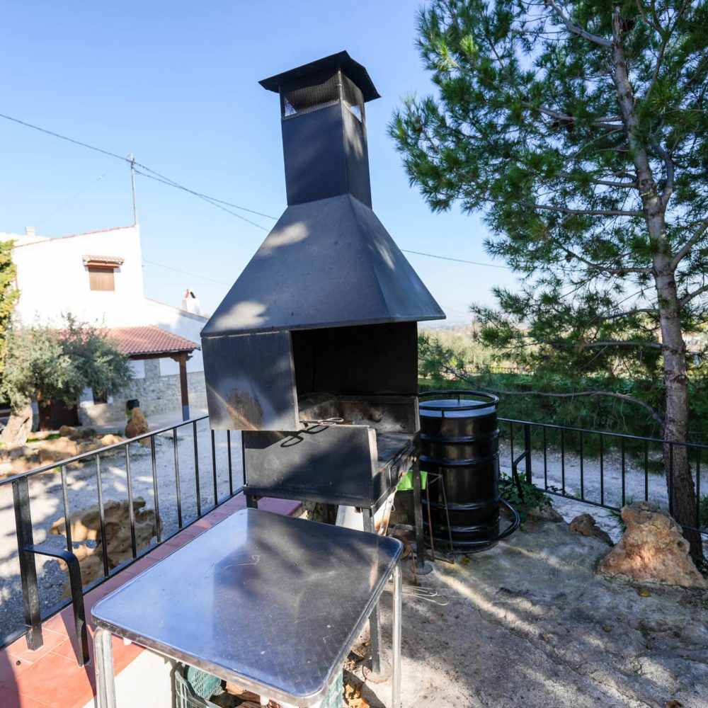 CORTIJO (39)